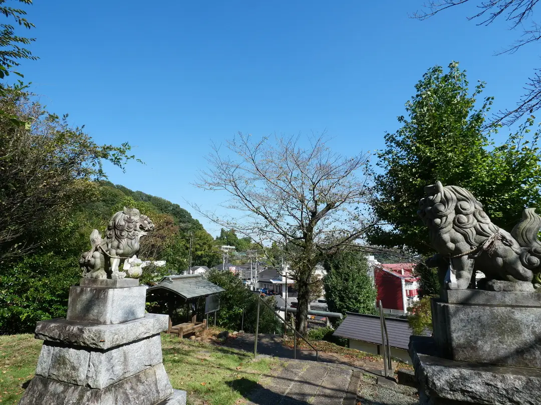 写真No.2
