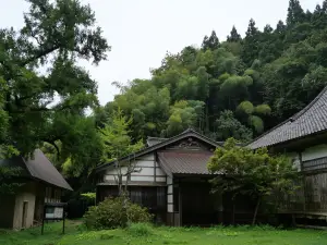 写真No.13