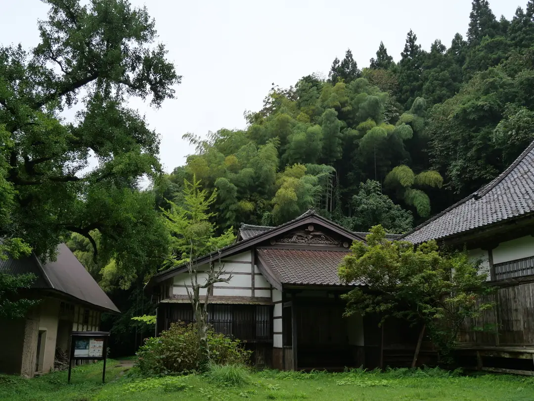 写真No.13