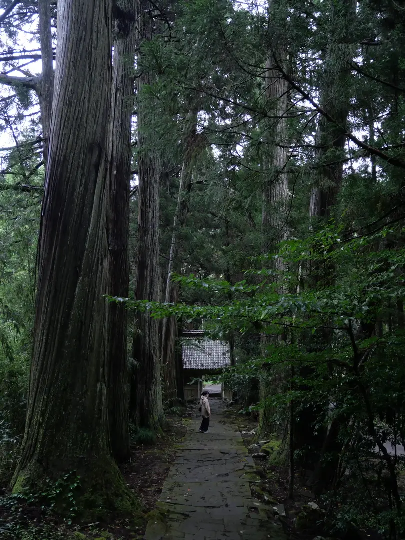 写真No.23
