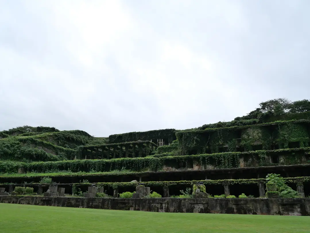 写真No.1