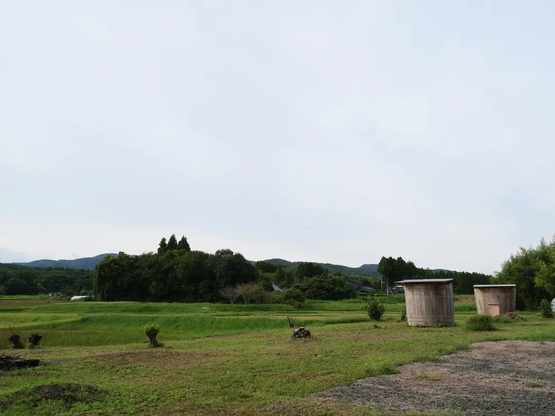 写真No.18
