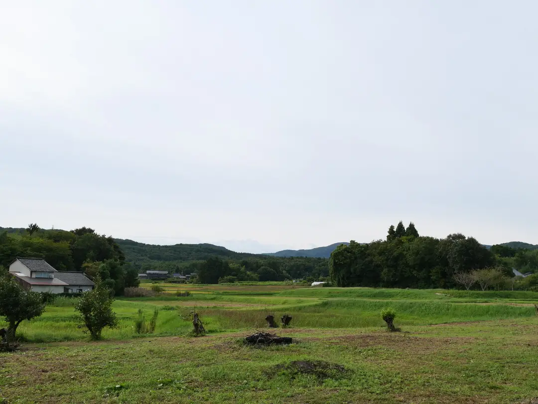 写真No.17