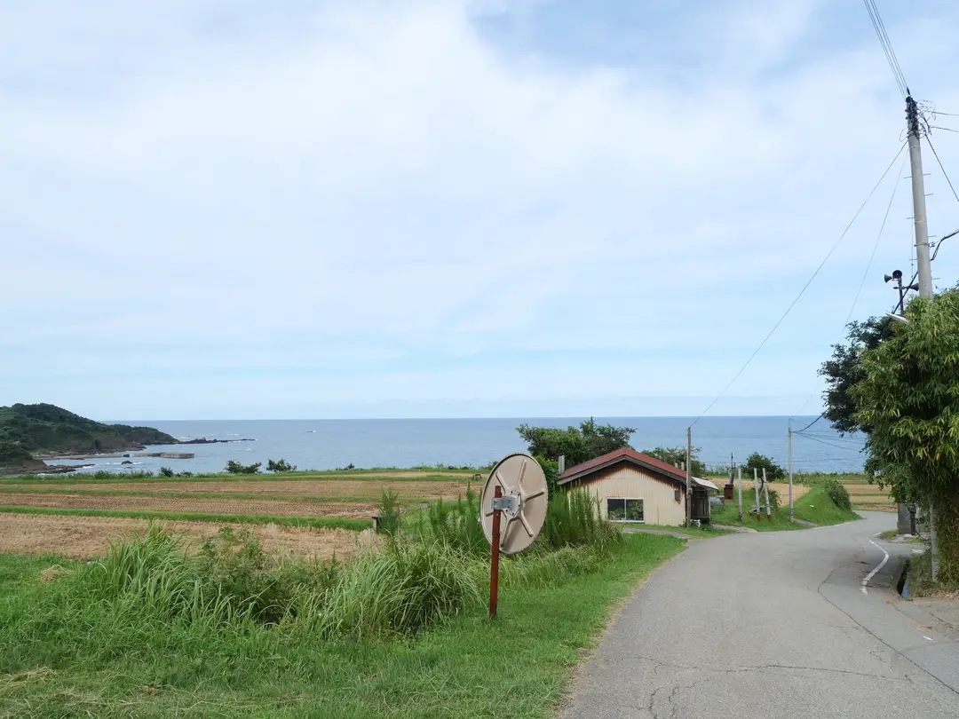 写真No.1