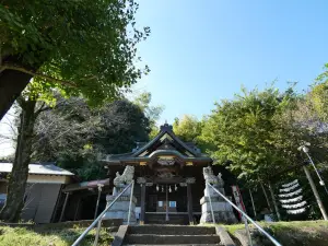 写真No.4
