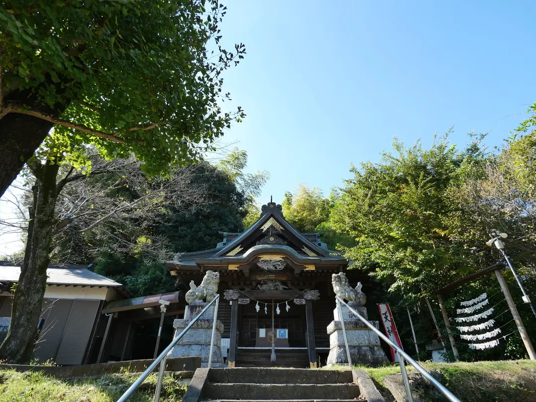 写真No.4