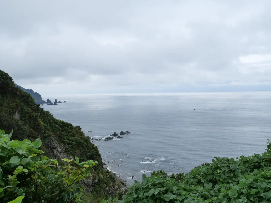 写真No.5