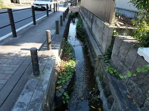 写真No.10