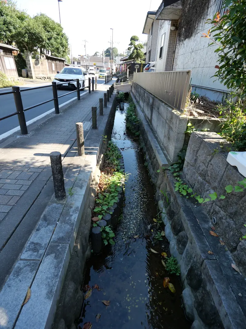 写真No.10