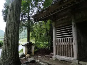 写真No.7