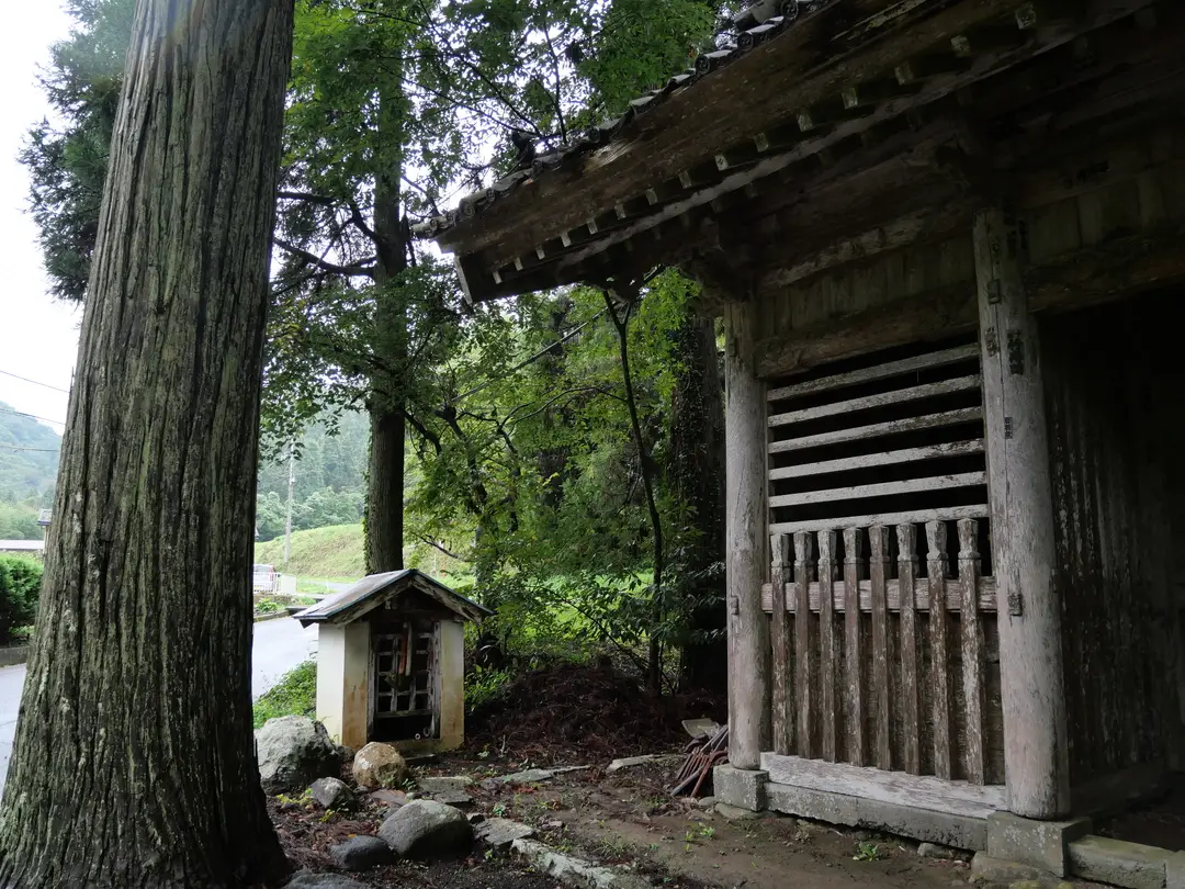 写真No.7