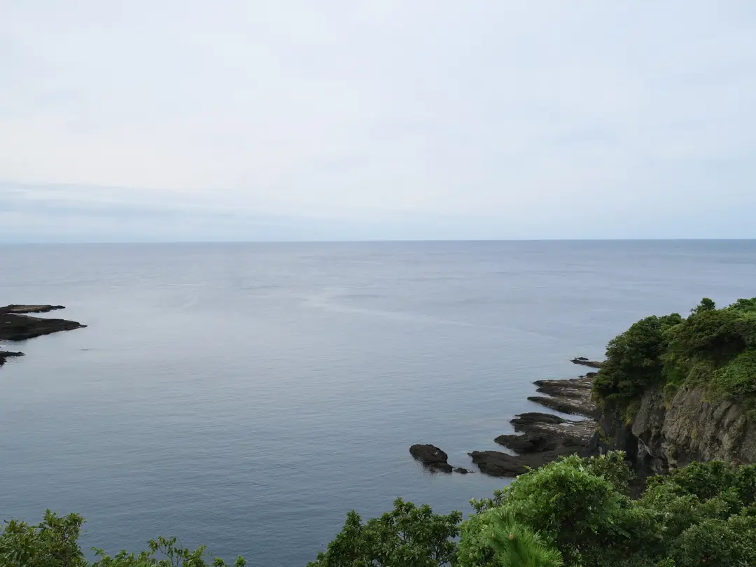 写真No.4