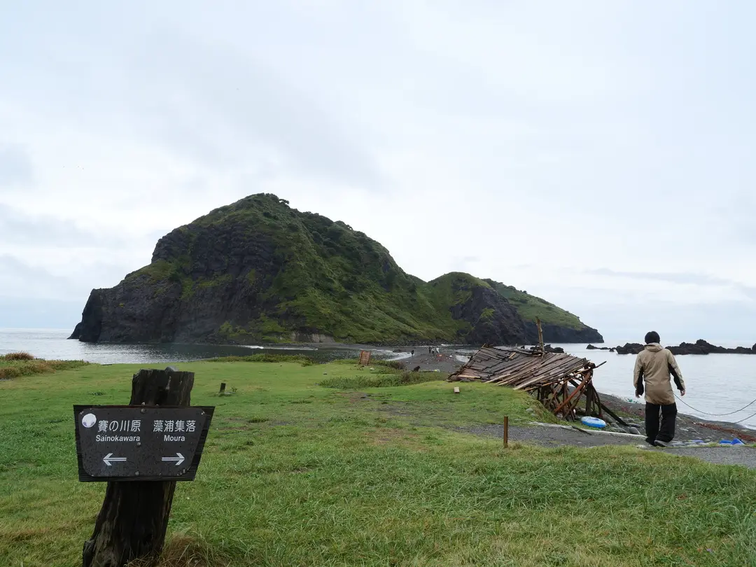 写真No.11