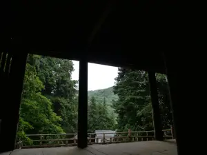 写真No.3