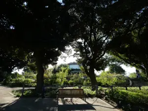写真No.13