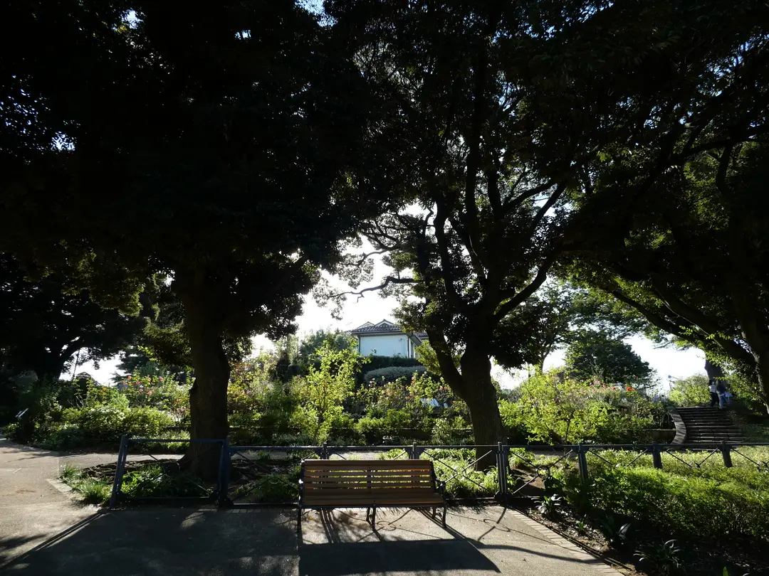 写真No.13
