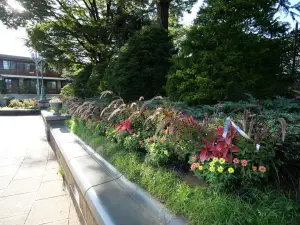 写真No.16