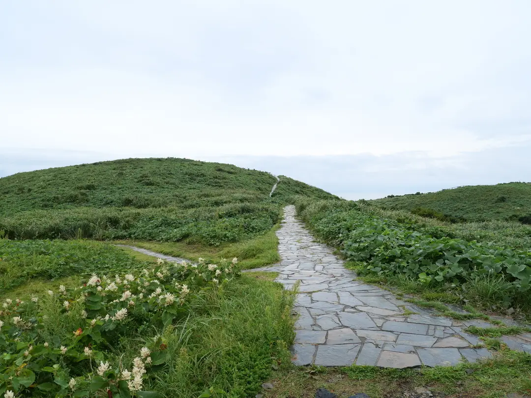写真No.5