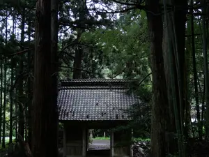 写真No.24