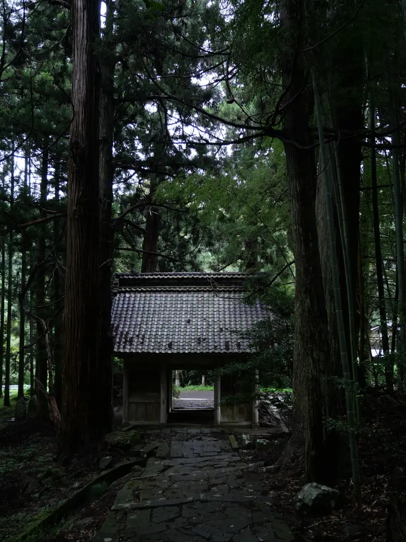 写真No.24