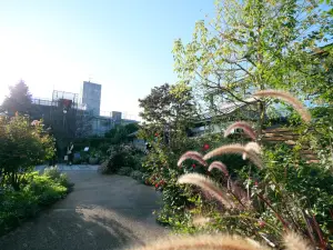 写真No.6
