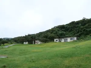 写真No.10