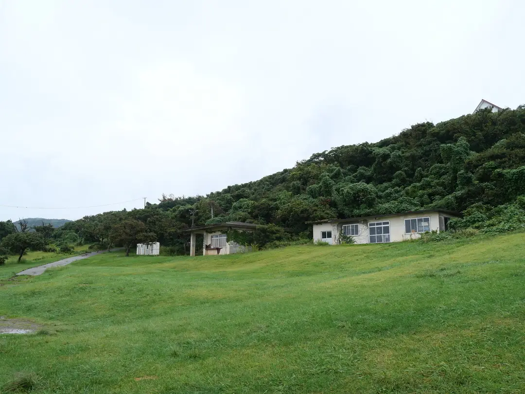 写真No.10