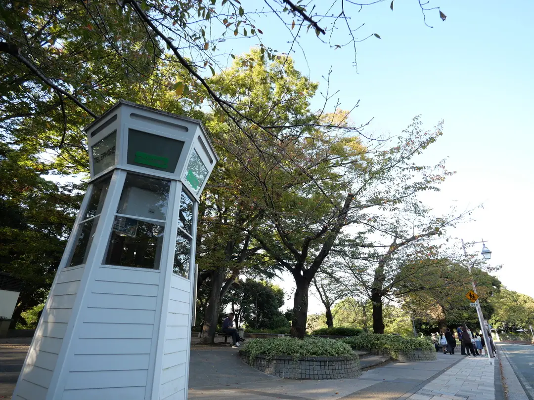 写真No.4