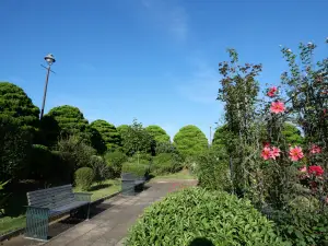 写真No.7