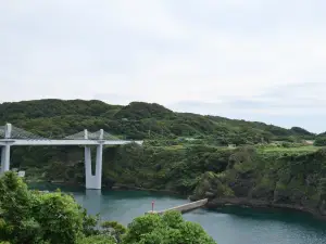 写真No.2