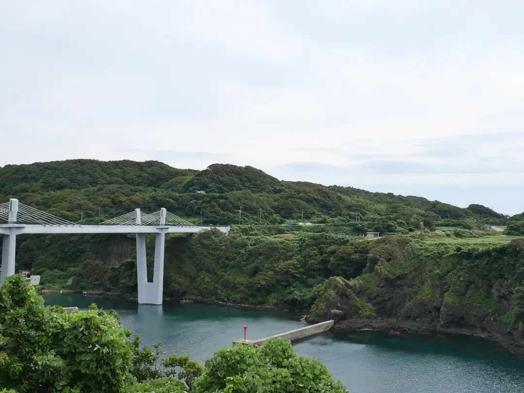 写真No.2
