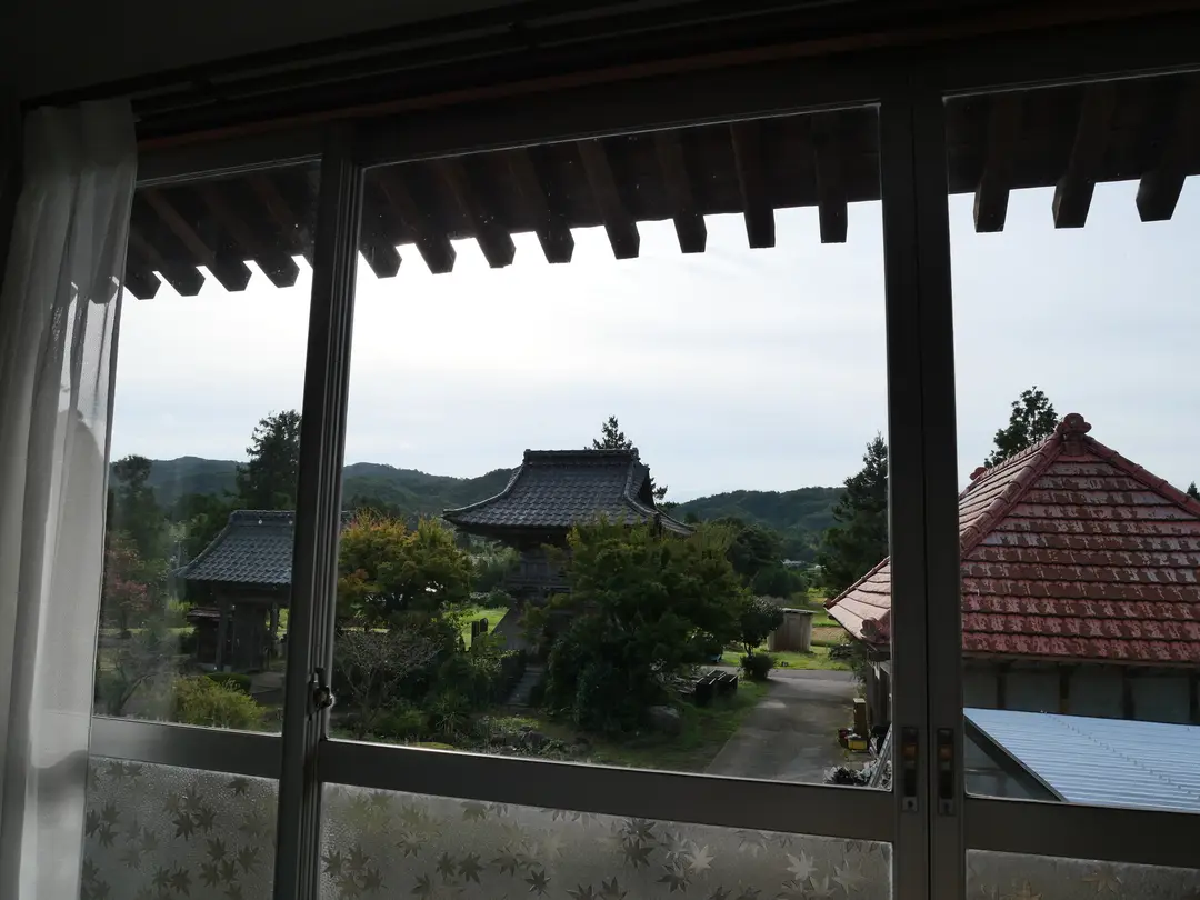 写真No.7