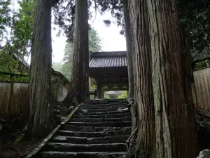 写真No.10