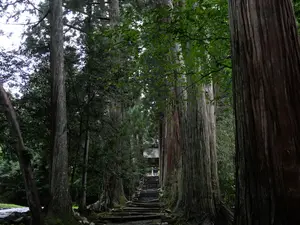 写真No.9