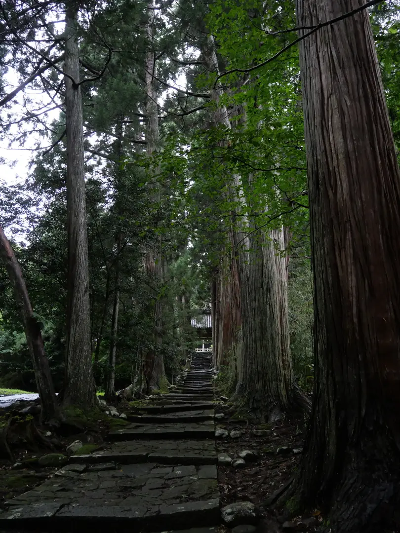 写真No.9
