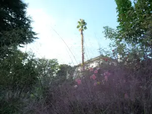 写真No.15