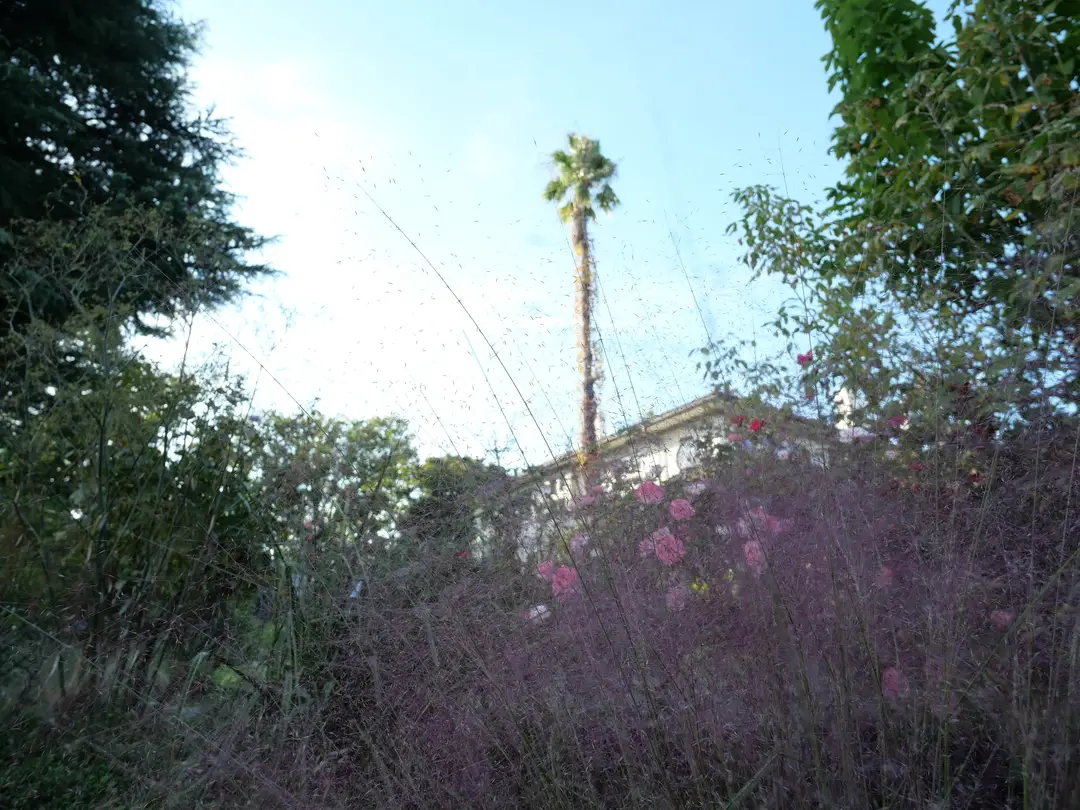 写真No.15