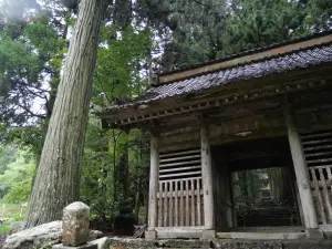 写真No.6