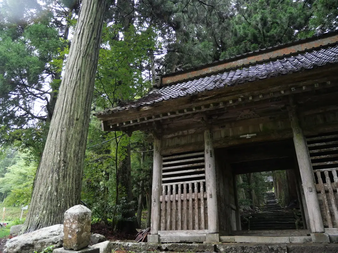 写真No.6
