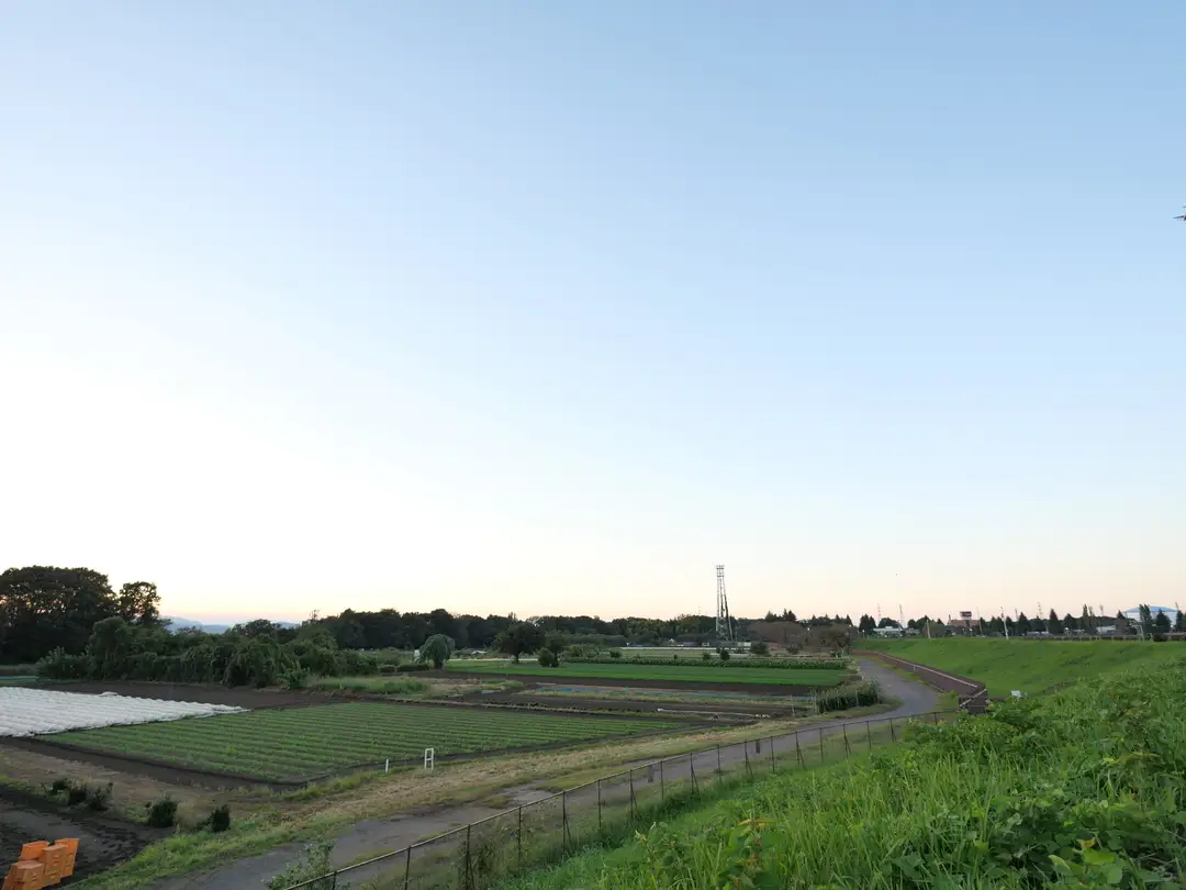 写真No.17