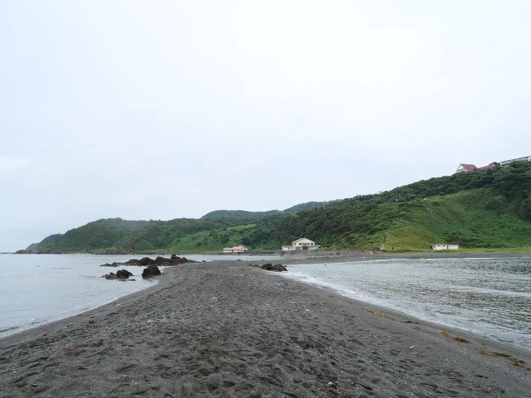写真No.4