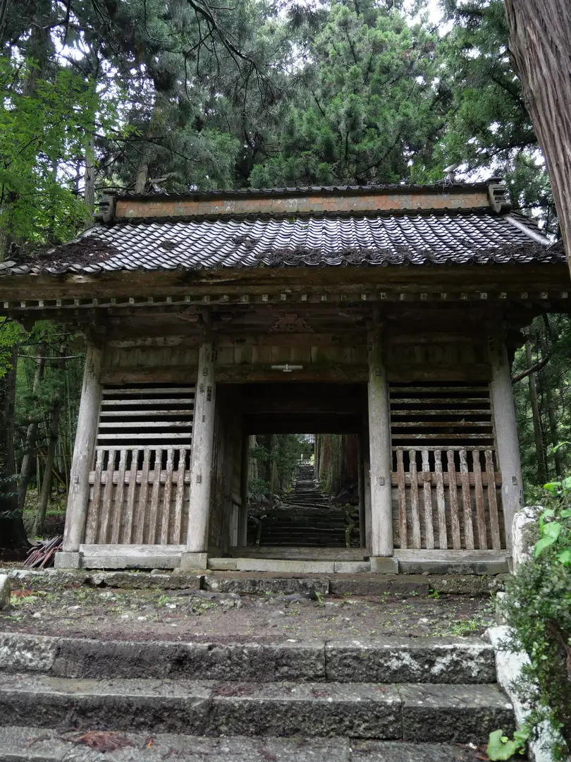写真No.5
