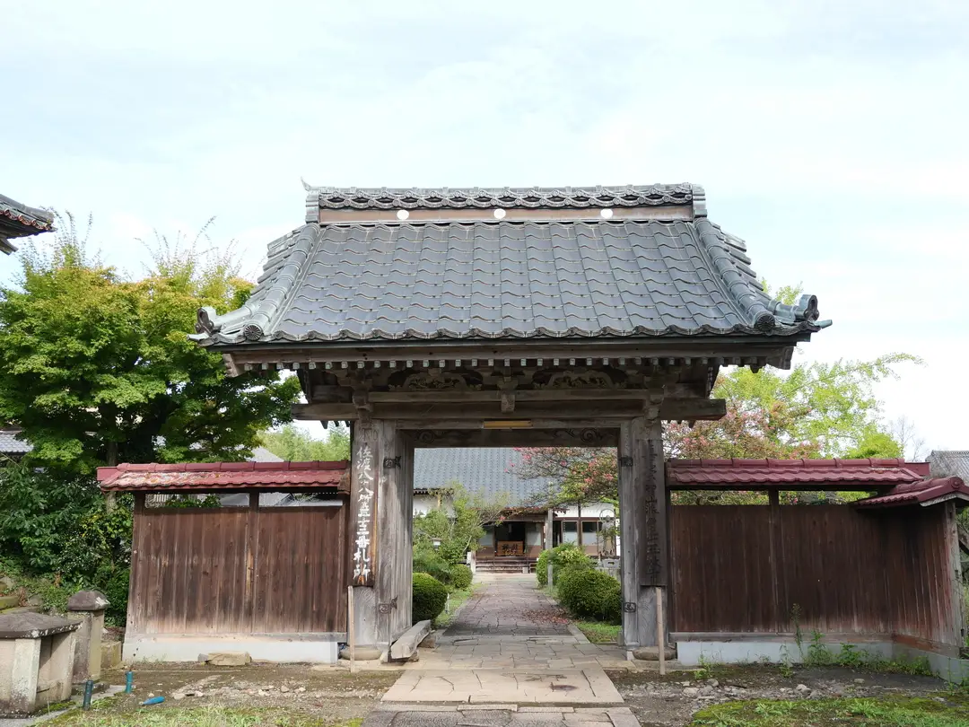 写真No.15