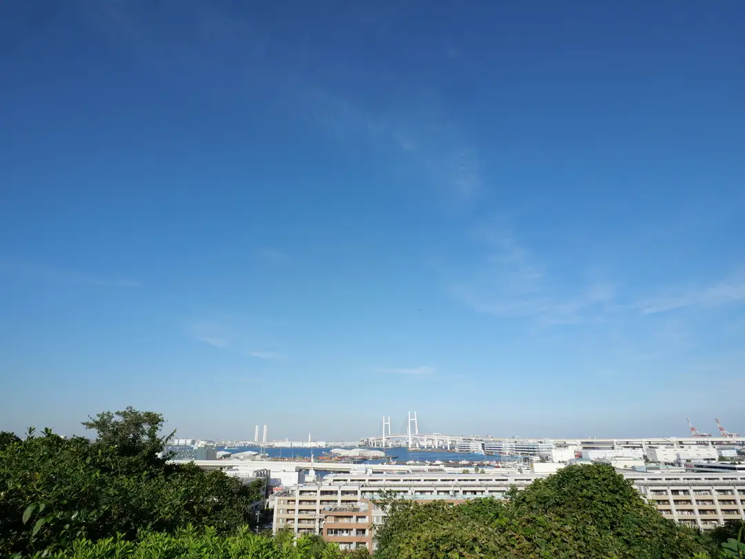 写真No.10