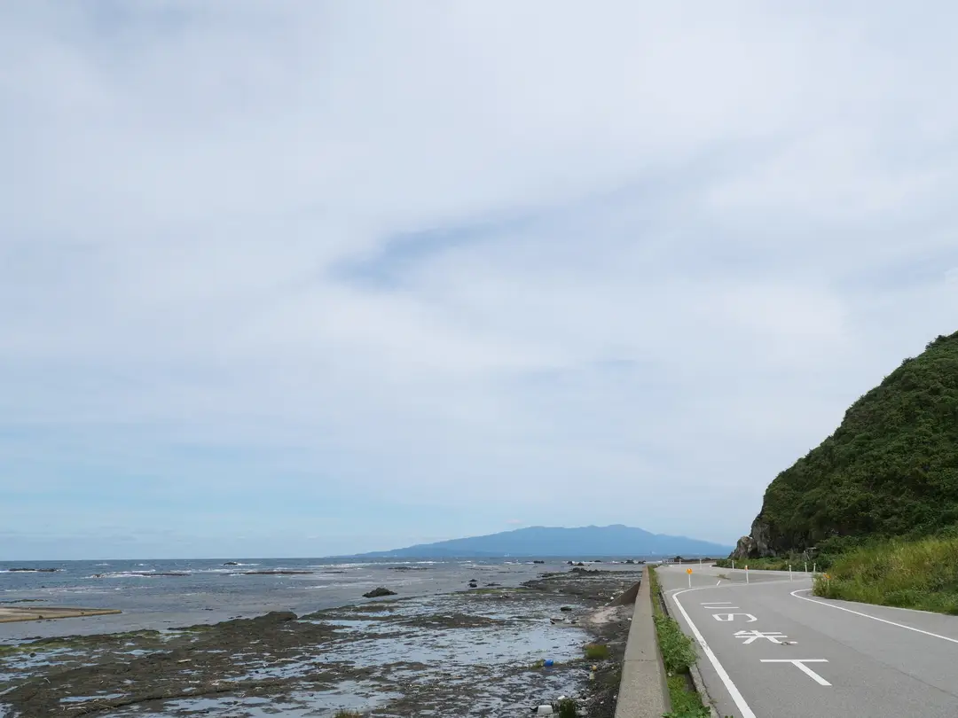 写真No.8