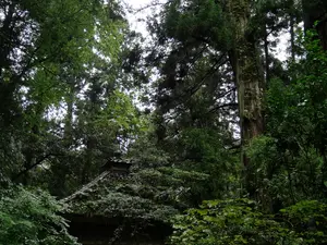 写真No.20