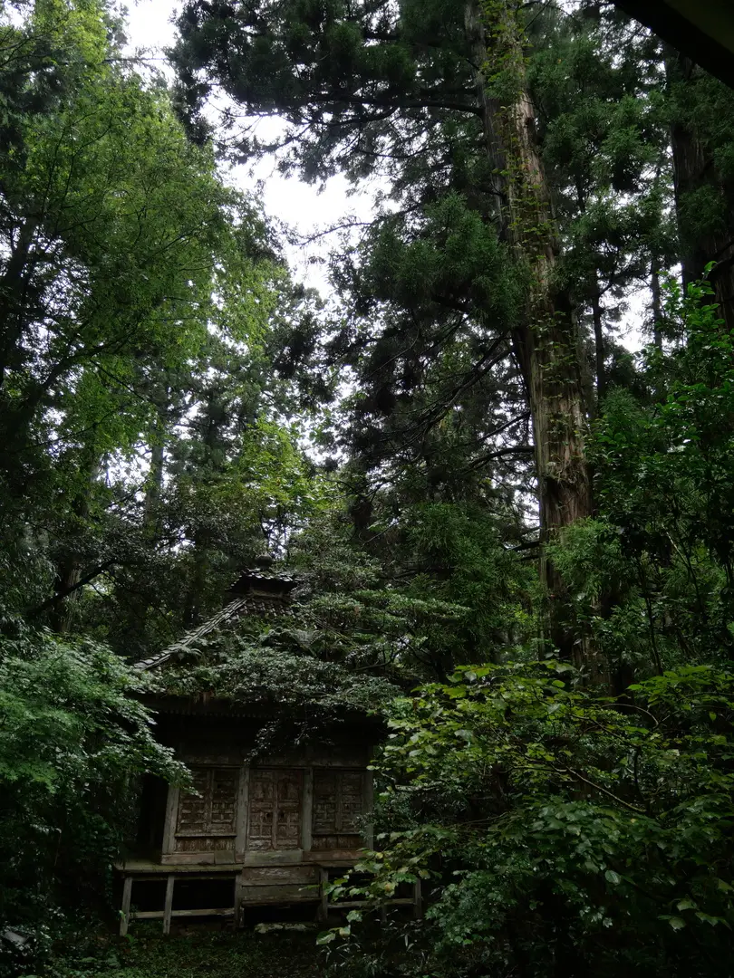 写真No.20