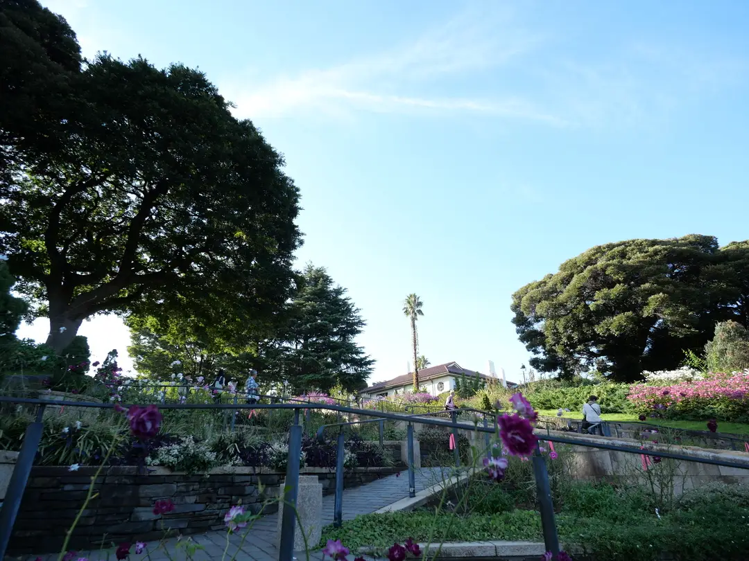 写真No.20