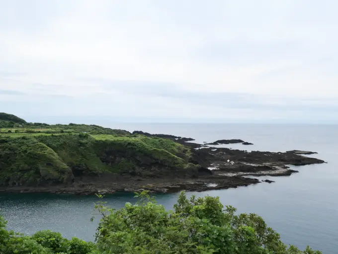 写真No.3