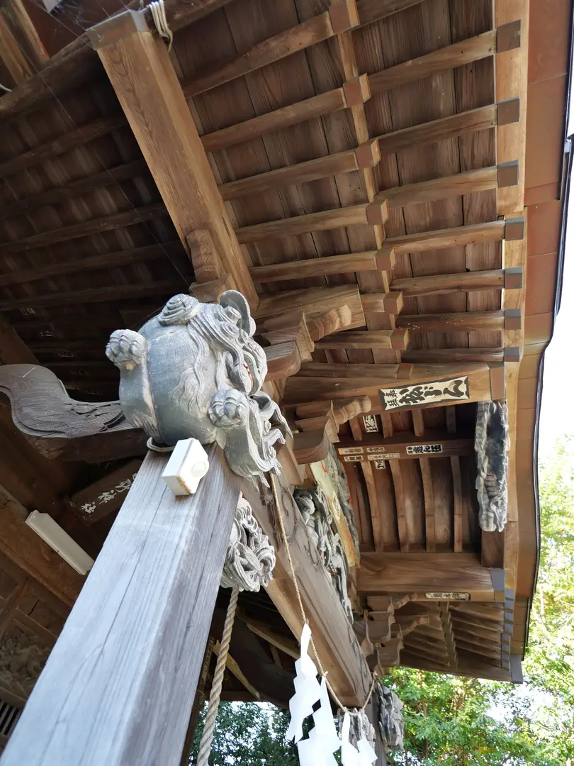 写真No.5
